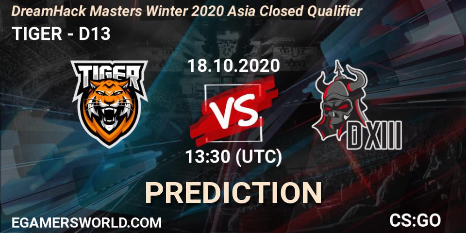 TIGER vs D13: Match Prediction. 18.10.2020 at 13:30, Counter-Strike (CS2), DreamHack Masters Winter 2020 Asia Closed Qualifier