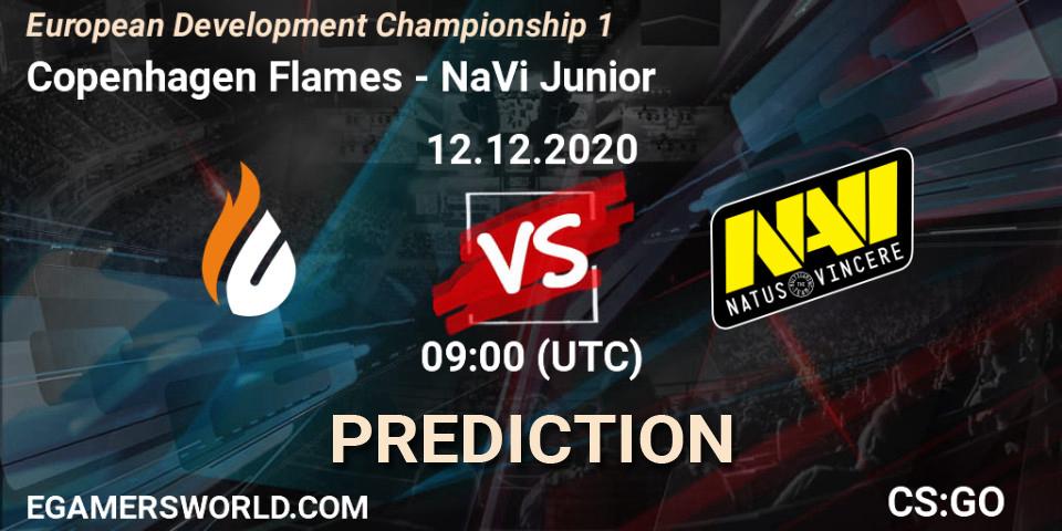 Copenhagen Flames vs NaVi Junior: Match Prediction. 12.12.2020 at 09:00, Counter-Strike (CS2), European Development Championship 1