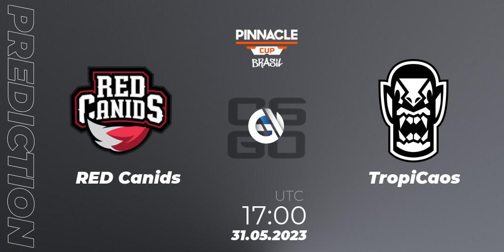 RED Canids vs TropiCaos: Match Prediction. 31.05.2023 at 17:00, Counter-Strike (CS2), Pinnacle Brazil Cup 1
