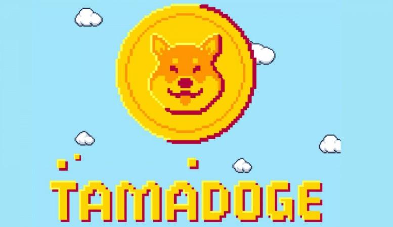 Tamadoge — endnu et forsøg på hype på Dogecoin eller en stor nyhed i verden af NFT- spil?