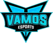 VAMOS eSports(counterstrike)