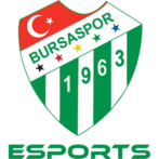 Bursaspor Esports(dota2)