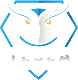 Tesla eSports