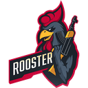 Rooster(counterstrike)