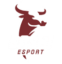 Sashi Academy(counterstrike)