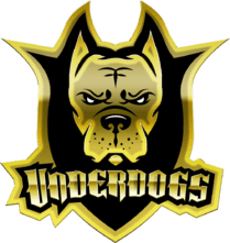 Underdogs(counterstrike)