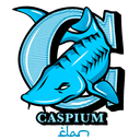 Team Caspium (dota2)