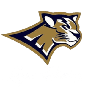Leopard Gaming