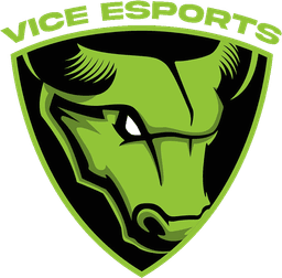 Vice Esports(dota2)