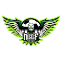 MGCF eSports (fifa)