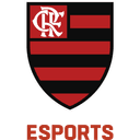 Flamengo Academy (lol)