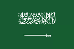Saudi Arabia(overwatch)