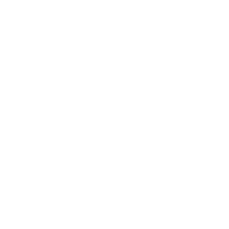Team Black