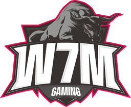 W7M Gaming(rainbowsix)