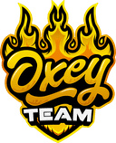 Oxey Team (rocketleague)