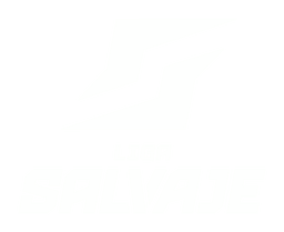 Liga Salvaje 2023: Split 2 - Playoffs