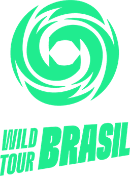 Wild Tour 2022 Season 1 - Group Stage