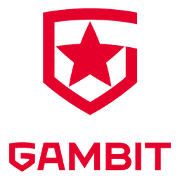 Gambit Esports(valorant)