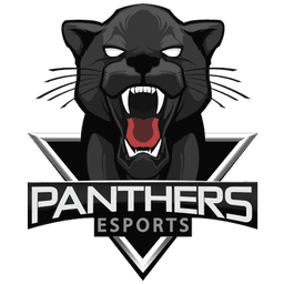Panthers Esports(valorant)